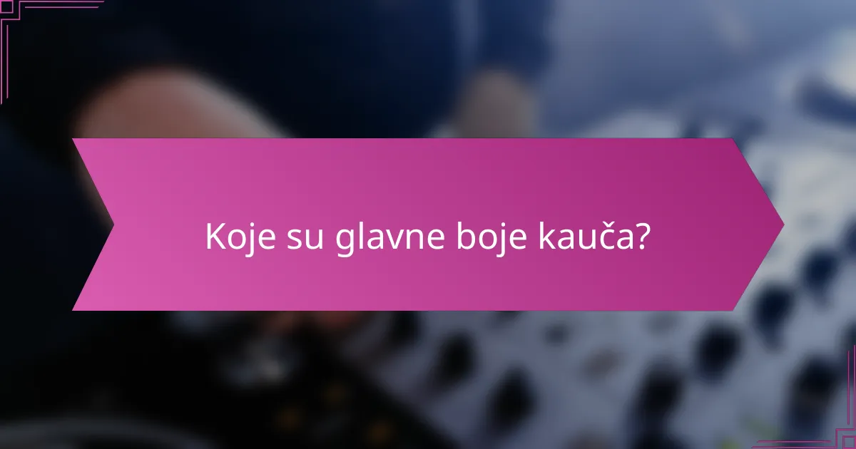 Koje su glavne boje kauča?